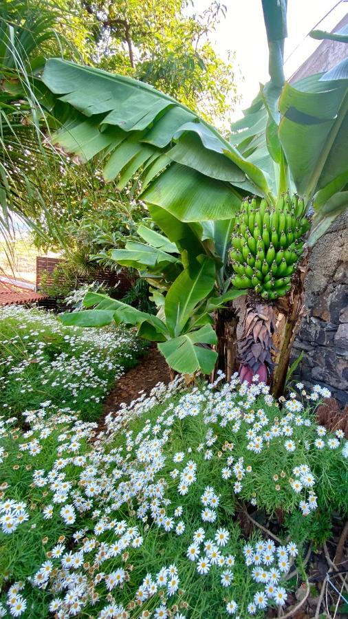 Casa Ideal Para Familias Com Vista Mar Desafogada Funchal  Luaran gambar
