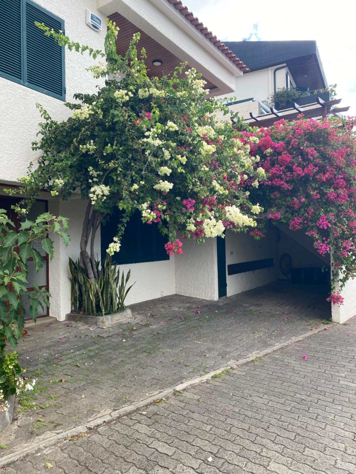 Casa Ideal Para Familias Com Vista Mar Desafogada Funchal  Luaran gambar